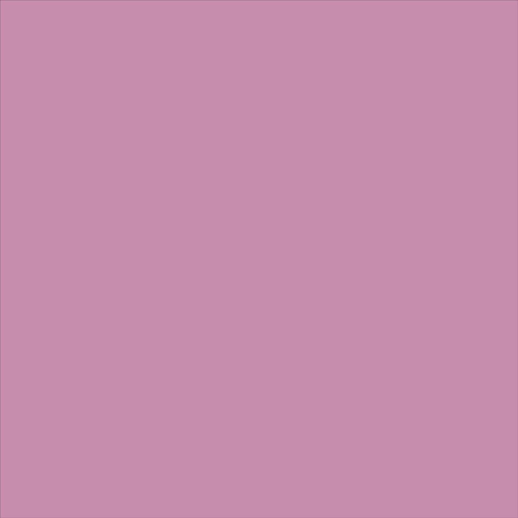 Baird Hipster Smoky Grape in Nylon - Image 5