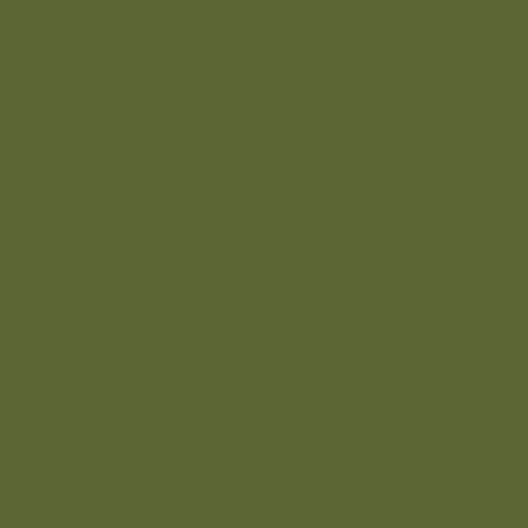 Poni Blue Light Reader Cedar green - Image 5