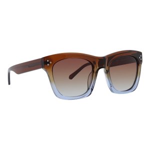Bryce Polarized Sunglasses Tortoise arona